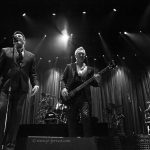 Concert, Live Event, Liverpool, Spandau Ballet