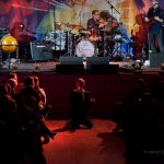 Divine Comedy, Concert, Live Event, Performance