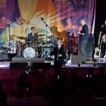 Divine Comedy, Concert, Live Event, Performance