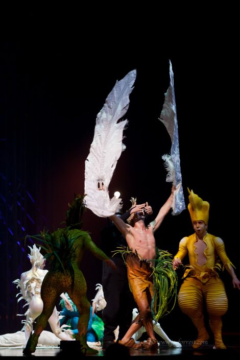 Circus, Cirque du Soleil, Sheffield, Varekai