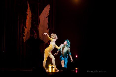 Circus, Cirque du Soleil, Sheffield, Varekai