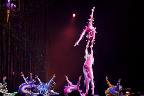 Circus, Cirque du Soleil, Sheffield, Varekai