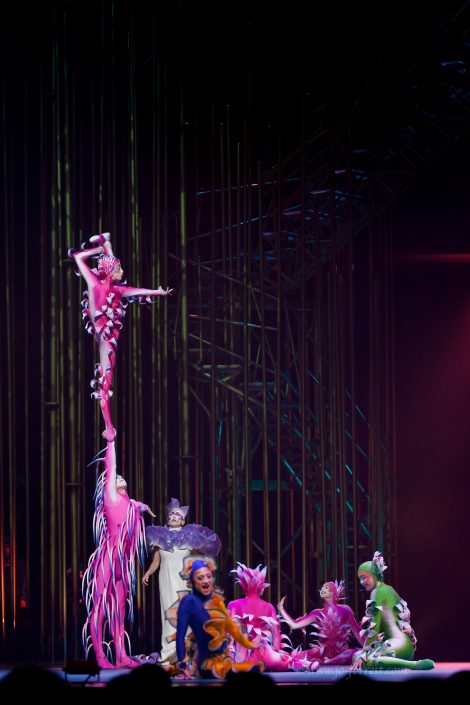 Circus, Cirque du Soleil, Sheffield, Varekai