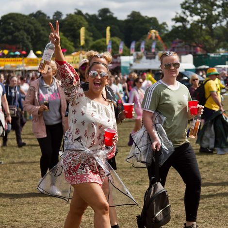 V Festival, Stafford, Weston Park, Festival, Live Event