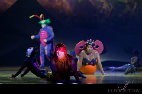 Cirque du Soleil, Ovo, Manchester, Jo Forrest, Review