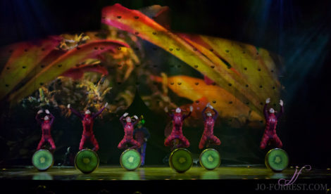 Cirque du Soleil, Ovo, Manchester, Jo Forrest, Review