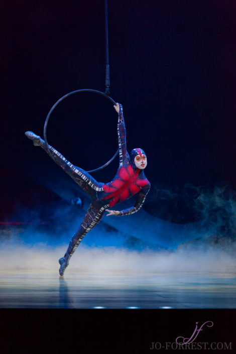 Cirque du Soleil, Ovo, Manchester, Jo Forrest, Review