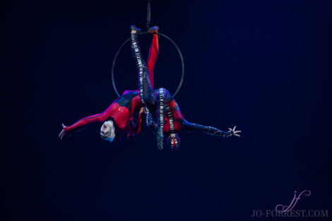 Cirque du Soleil, Ovo, Manchester, Jo Forrest, Review