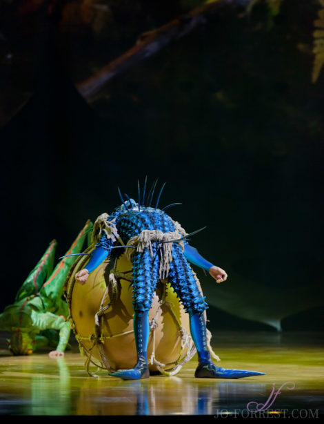 Cirque du Soleil, Ovo, Manchester, Jo Forrest, Review