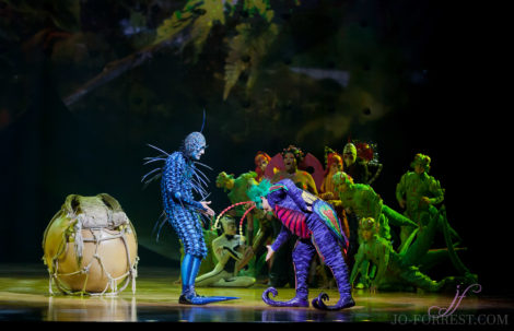 Cirque du Soleil, Ovo, Manchester, Jo Forrest, Review