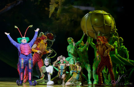 Cirque du Soleil, Ovo, Manchester, Jo Forrest, Review