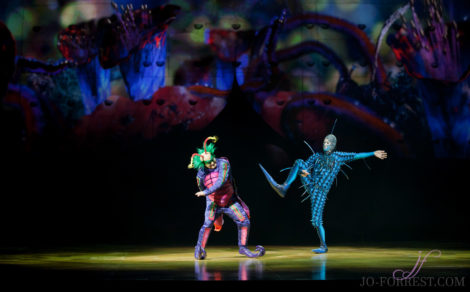 Cirque du Soleil, Ovo, Manchester, Jo Forrest, Review