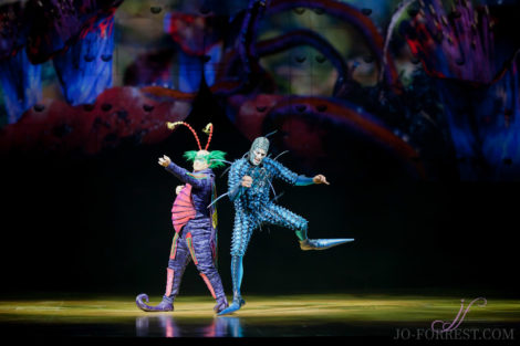 Cirque du Soleil, Ovo, Manchester, Jo Forrest, Review