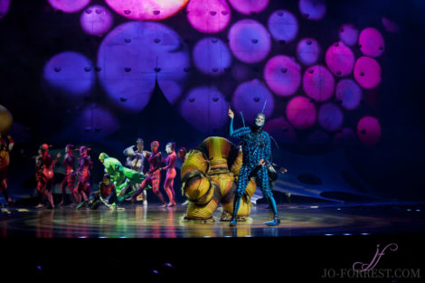 Cirque du Soleil, Ovo, Manchester, Jo Forrest, Review