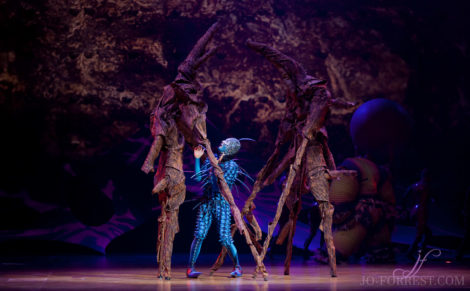 Cirque du Soleil, Ovo, Manchester, Jo Forrest, Review