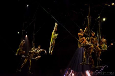 Cirque du Soleil, Ovo, Manchester, Jo Forrest, Review