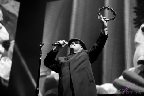 Madness, Leeds, Jo Forrest, Review, First Direct Arena