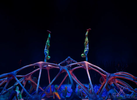 Cirque du Soleil, Totem, Jo Forrest, Royal Albert Hall, London