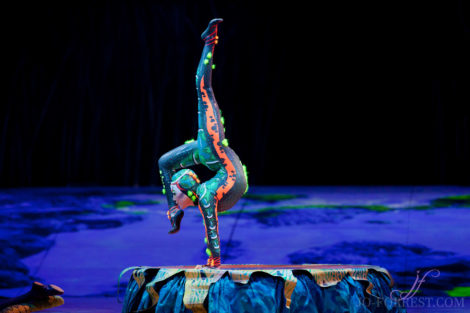 Cirque du Soleil, Totem, Jo Forrest, Royal Albert Hall, London