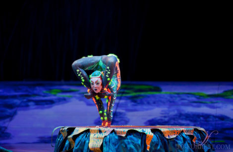 Cirque du Soleil, Totem, Jo Forrest, Royal Albert Hall, London