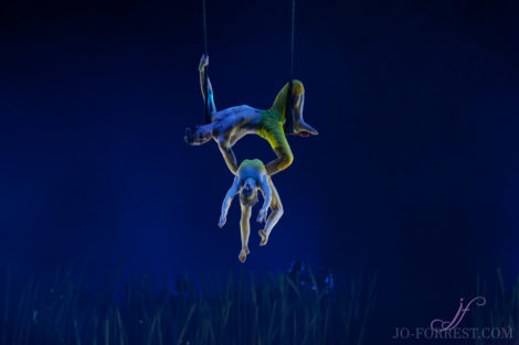 Cirque du Soleil, Totem, Jo Forrest, Royal Albert Hall, London