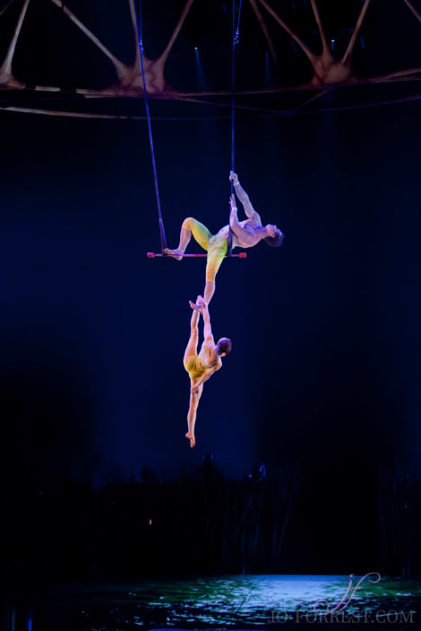 Cirque du Soleil, Totem, Jo Forrest, Royal Albert Hall, London