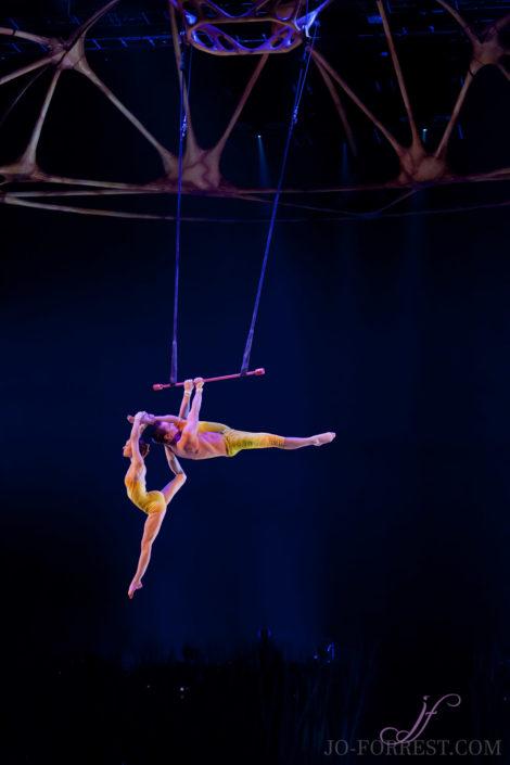 Cirque du Soleil, Totem, Jo Forrest, Royal Albert Hall, London