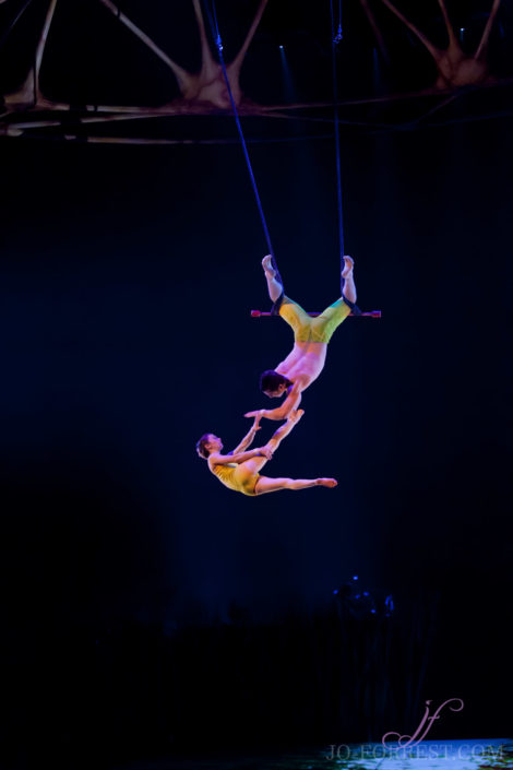 Cirque du Soleil, Totem, Jo Forrest, Royal Albert Hall, London