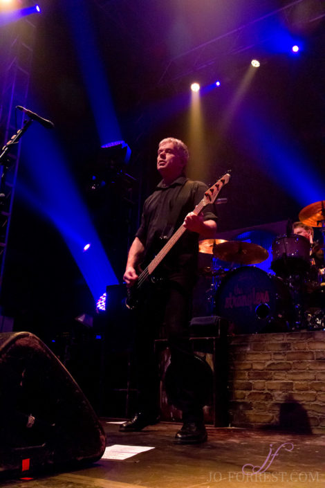 The Stranglers, Leeds, , Jo Forrest, Review