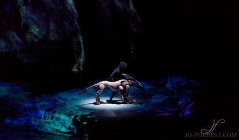 Cirque du Soleil, Toruk, Circus, Review, Jo Forrest, Theatre