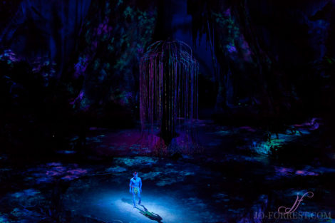 Cirque du Soleil, Toruk, Circus, Review, Jo Forrest, Theatre