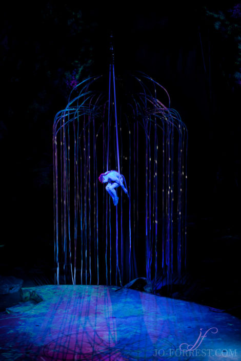 Cirque du Soleil, Toruk, Circus, Review, Jo Forrest, Theatre