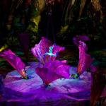 Cirque du Soleil, Toruk, Circus, Review, Jo Forrest, Theatre