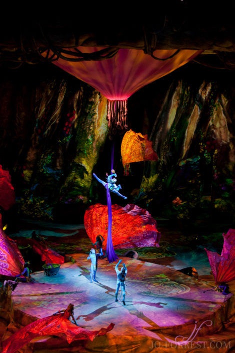 Cirque du Soleil, Toruk, Circus, Review, Jo Forrest, Theatre