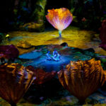 Cirque du Soleil, Toruk, Circus, Review, Jo Forrest, Theatre