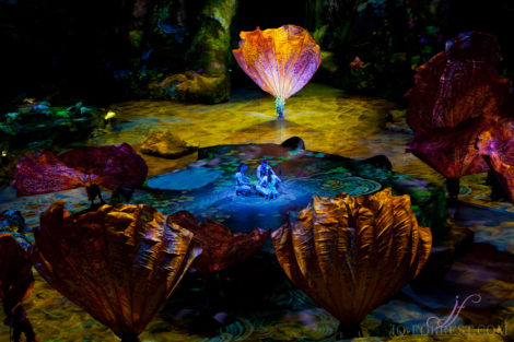 Cirque du Soleil, Toruk, Circus, Review, Jo Forrest, Theatre