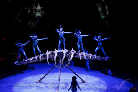 Cirque du Soleil, Toruk, Circus, Review, Jo Forrest, Theatre