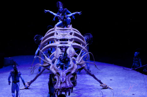 Cirque du Soleil, Toruk, Circus, Review, Jo Forrest, Theatre