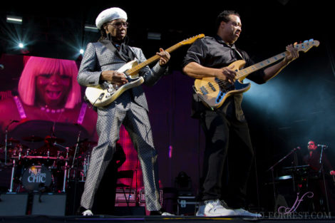 Nile Rogers, Music, Jo Forrest, Haydock Racecourse,  Review