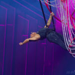 Pink, Anfield Stadium, Music, Liverpool, Jo Forrest, Review