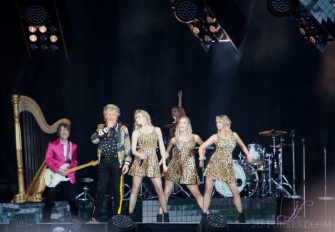 Rod Stewart, Music, Jo Forrest, Review, York Racecourse