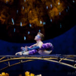 Cirque Du Soleil, Luzia, Circus, Jo Forrest, Review, Royal Albert Hall, London