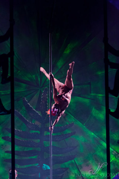 Cirque Du Soleil, Luzia, Circus, Jo Forrest, Review, Royal Albert Hall, London